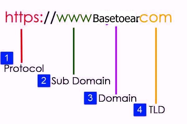 Main Parts of a Domain Name